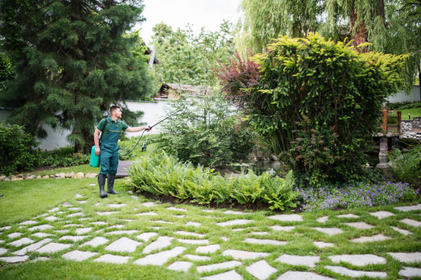 Best Best Pest Control Companies  in Grimes, IA
