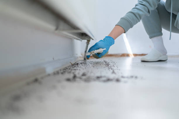Grimes, IA Pest Control Company